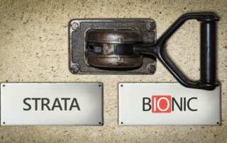 Switch from Strata to Bionic