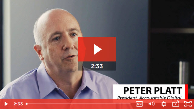 Accountable Digital Review of Bionic Media Planning Software